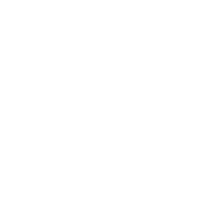 The Brand Logo for Your Subaru specialists in the Wellington region