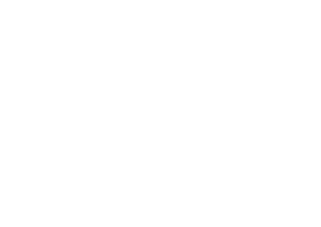 Defender