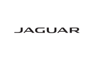 The Brand Logo for Armstrong’s Jaguar | Wellington