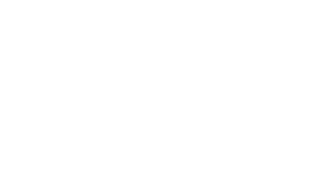 smart